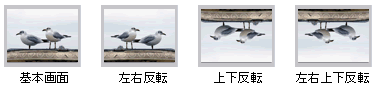 イメージフリップ