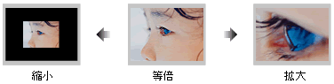 ズーム機能